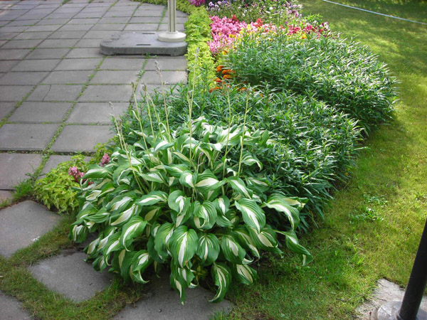 Устройство цветников и клумб