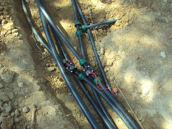 Полив участка