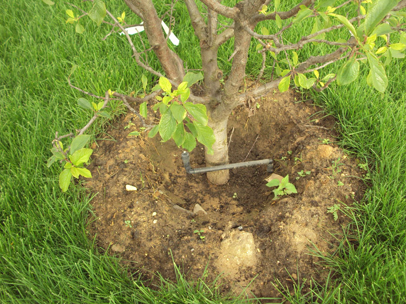 Полив участка