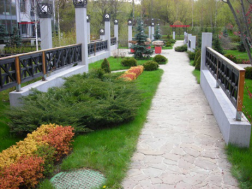 Кустарники и изгороди