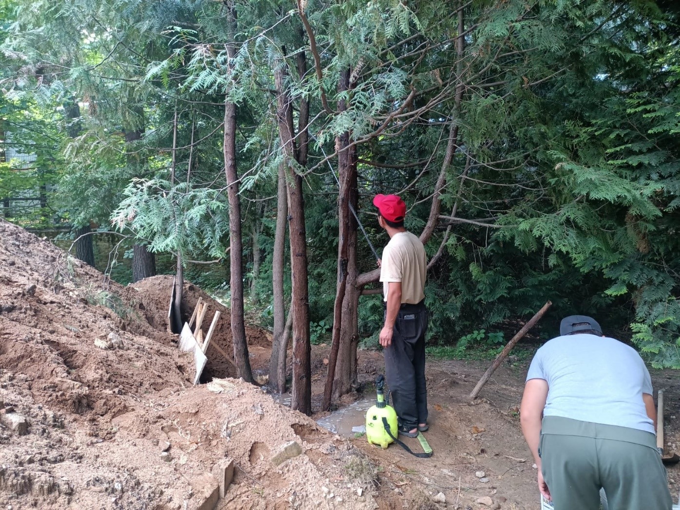 Уход за крупномерами